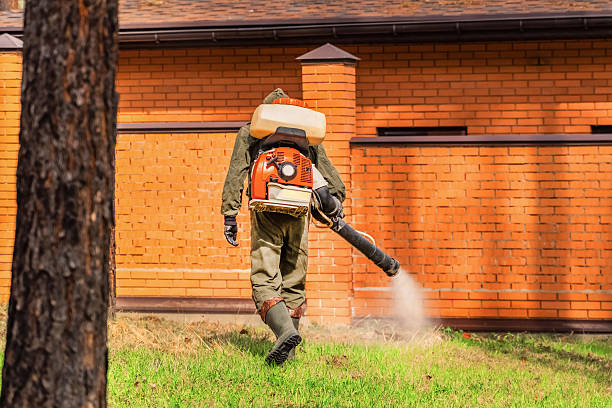 Trusted Ant Control service in Marysville, WA - Nex Pest Control